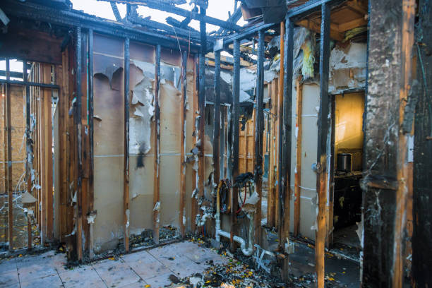 Professional Fire Damage Removal technician working in Woodland, WA